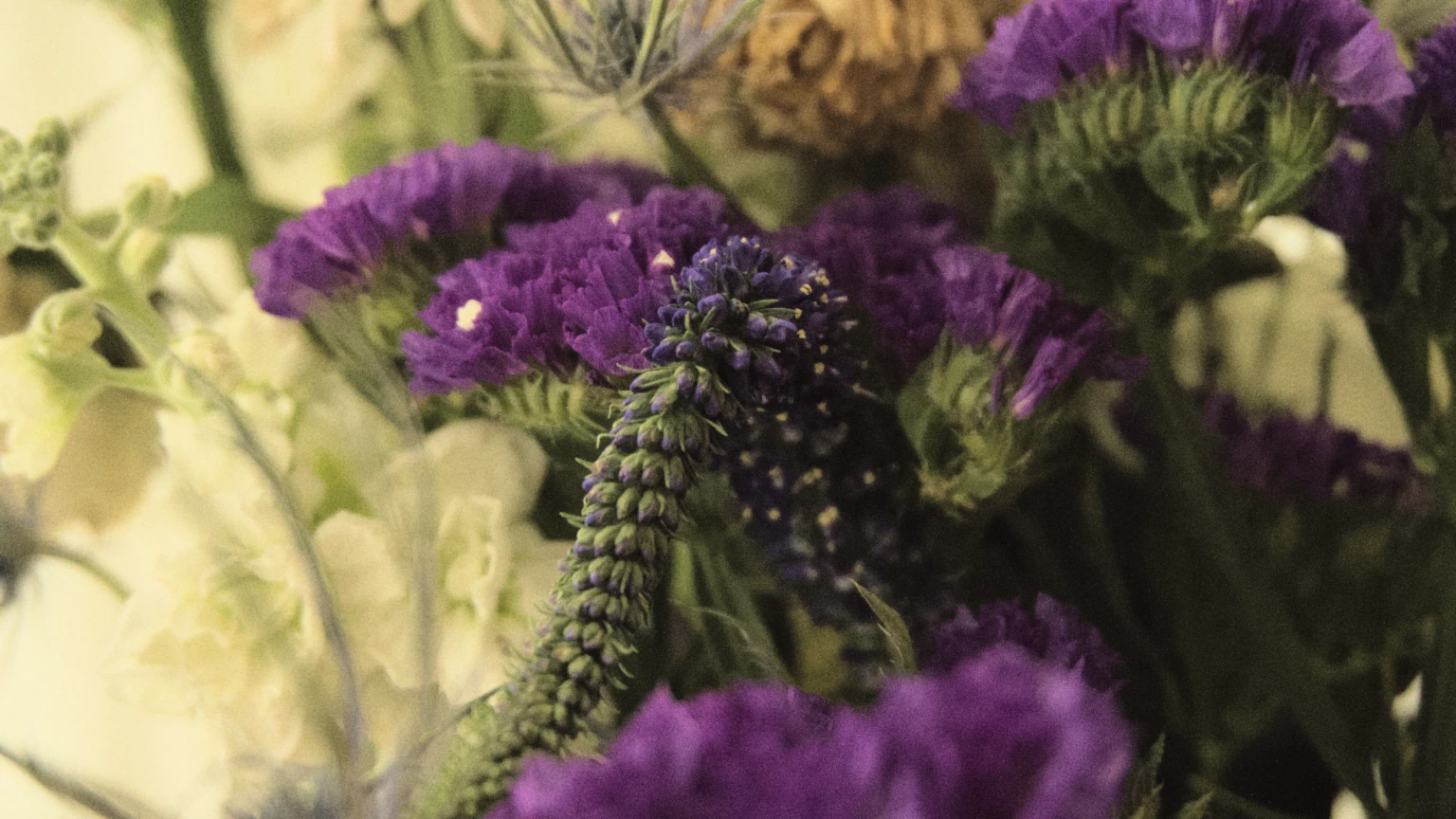Bouquet of Flowers
